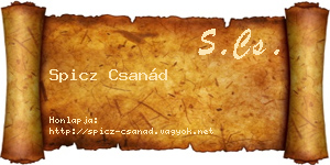 Spicz Csanád névjegykártya